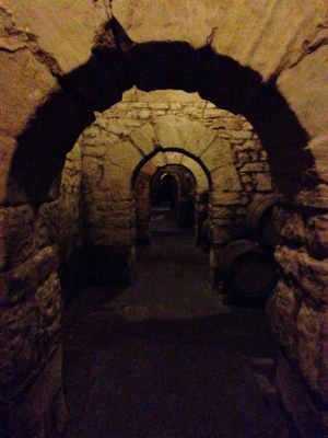 Encuentro_foreros_Rioja_2013_Marqués_Riscal_tünel_entrada